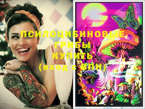 гидропоника Абдулино