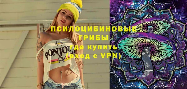 твердый Алексин