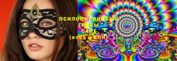 молекула духа Алзамай