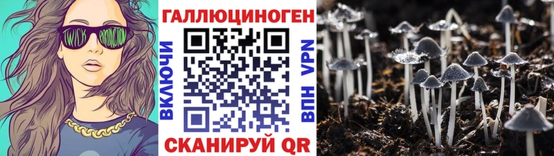 Псилоцибиновые грибы Cubensis  продажа наркотиков  Усть-Кут 
