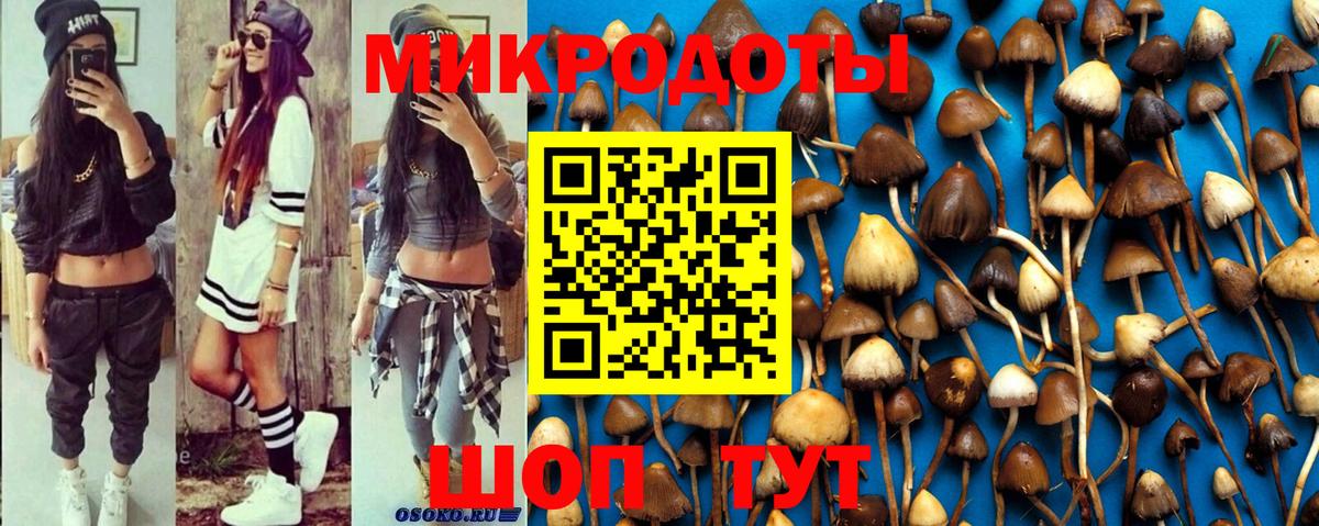 Усть-Кут  Псилоцибиновые грибы прущие грибы  Вход с VPN 